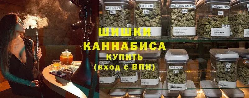 Бошки марихуана Amnesia  сколько стоит  Людиново 